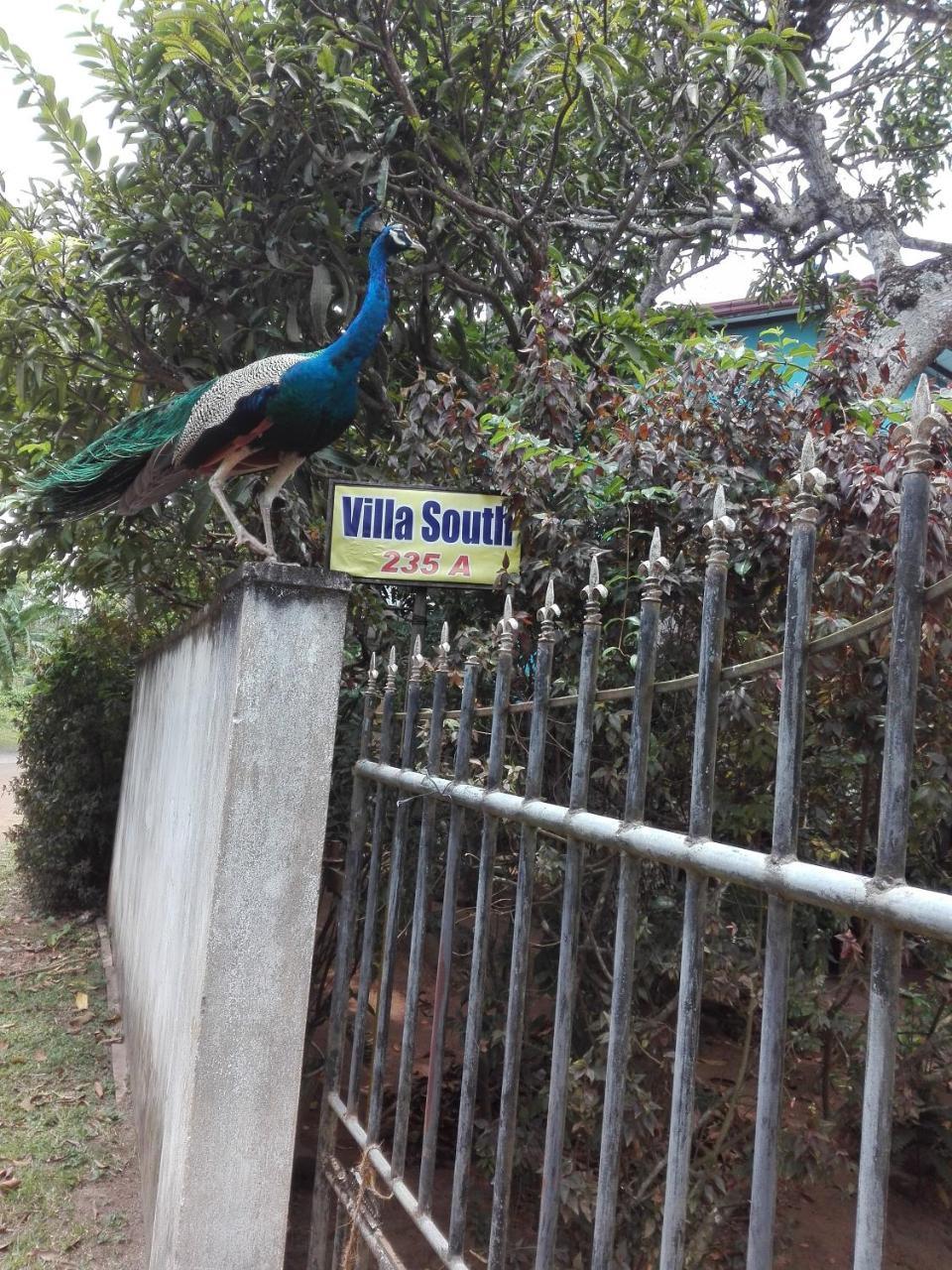 Weligama Villa South Buitenkant foto